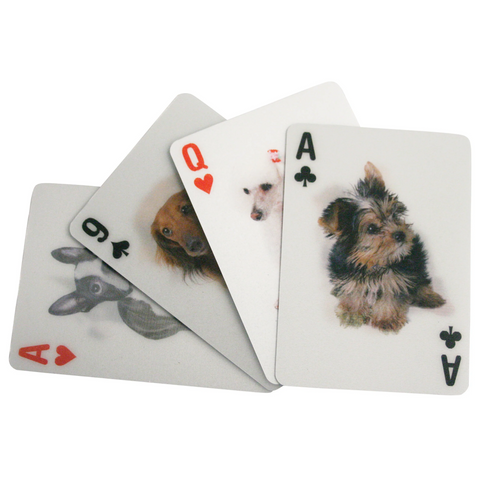 Playing Cards Dogs 3D