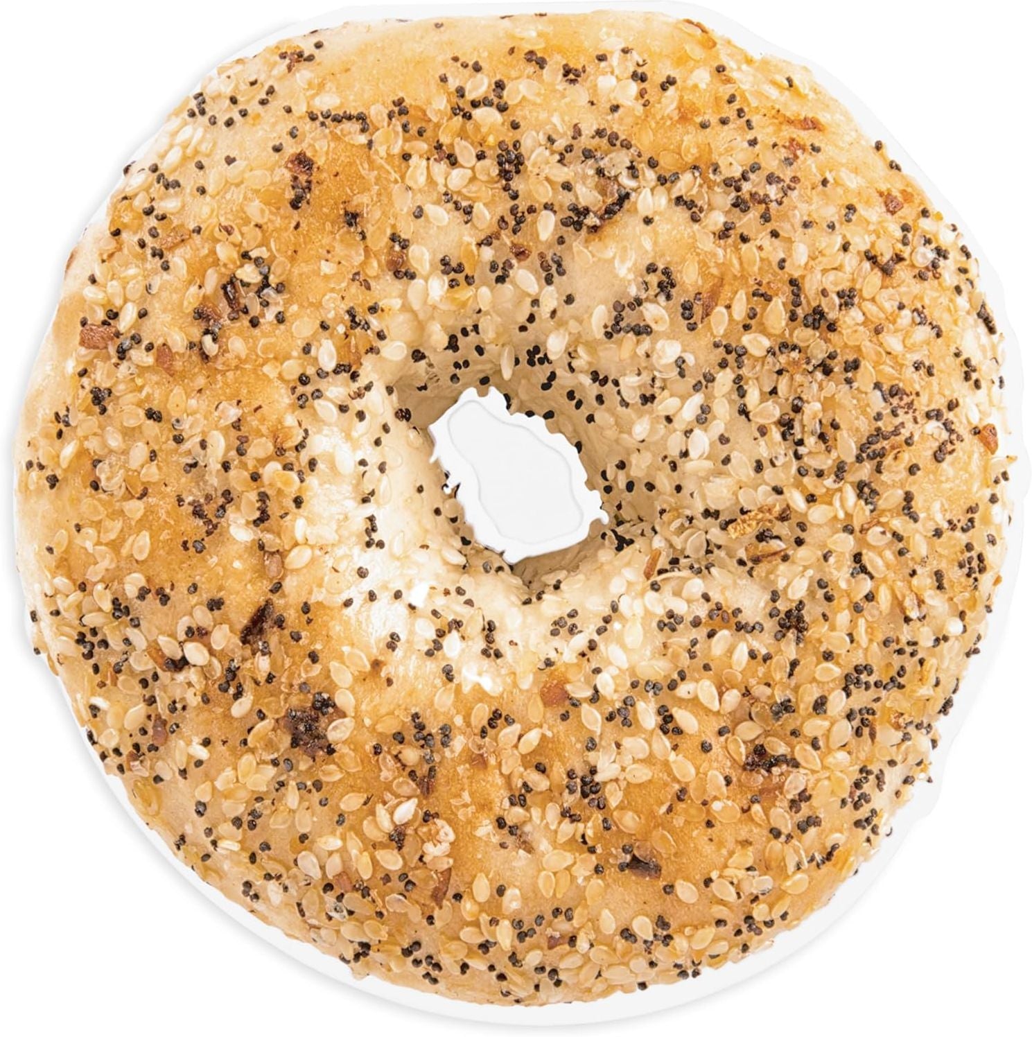 Everything bagel-shaped notepad with sesame and poppy seeds on white background