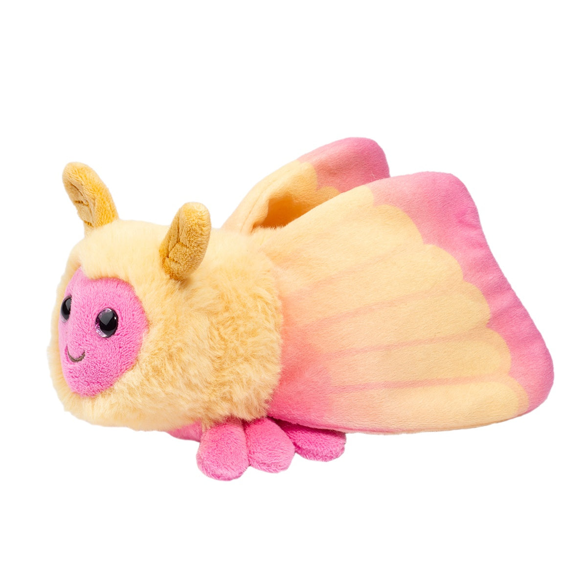 Rosy Maple Moth
