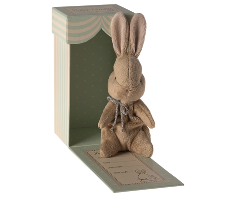 My first bunny - Brown
