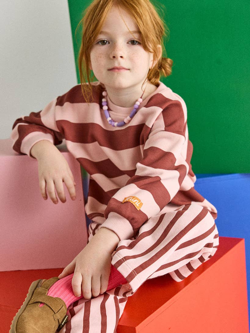 Striped Sweatshirt - Burgundy & Pink