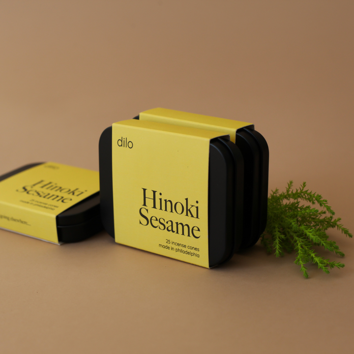 dilo Elsewhere Collection Incense Cones - Stay Forever