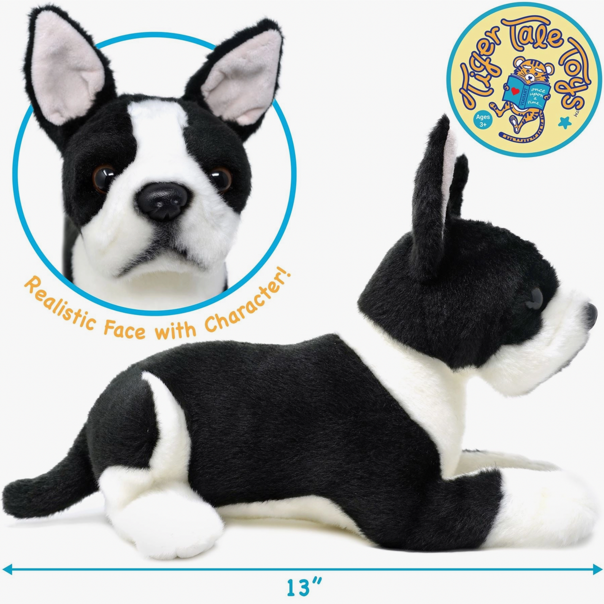 Baxter The Boston Terrier - Stay Forever