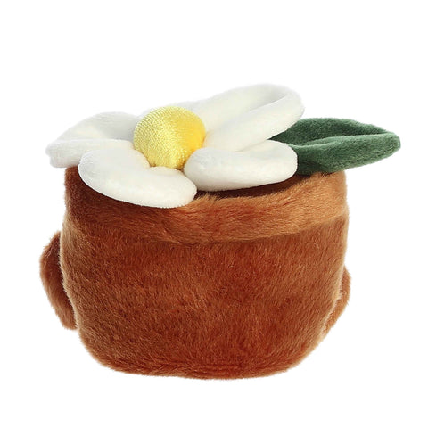 5" Junie Daisy Palm Pals