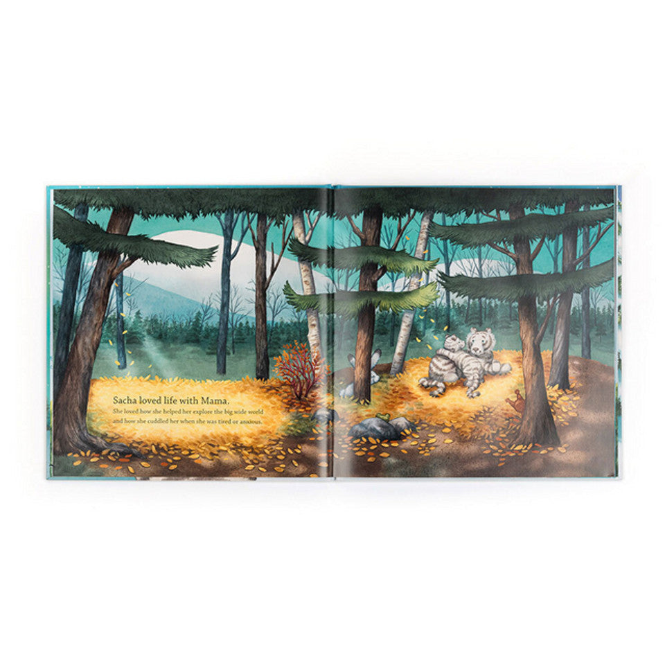 Sacha and the Most Wonderful thing