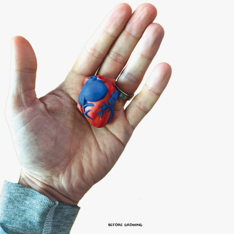 Extra Large Swell Polymer Heart