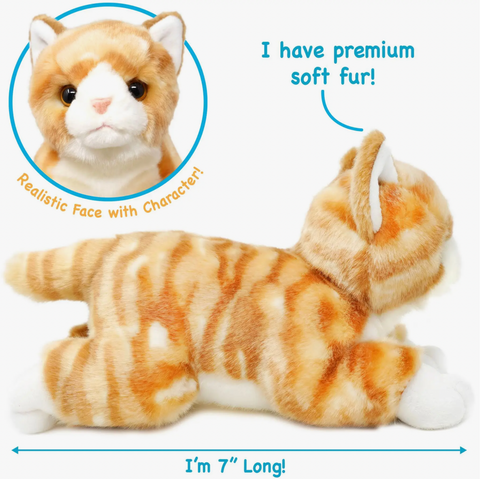 Tamarr the Orange Tabby Cat