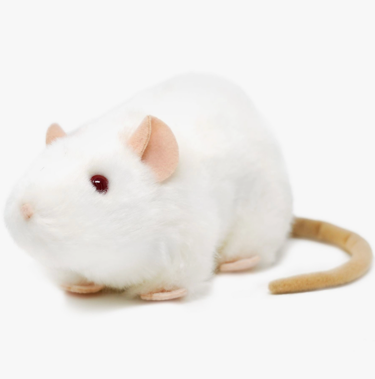 Wylie the White Rat - Stay Forever