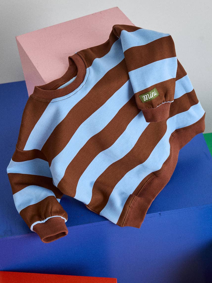 Striped Sweatshirt - Light Blue & Brown