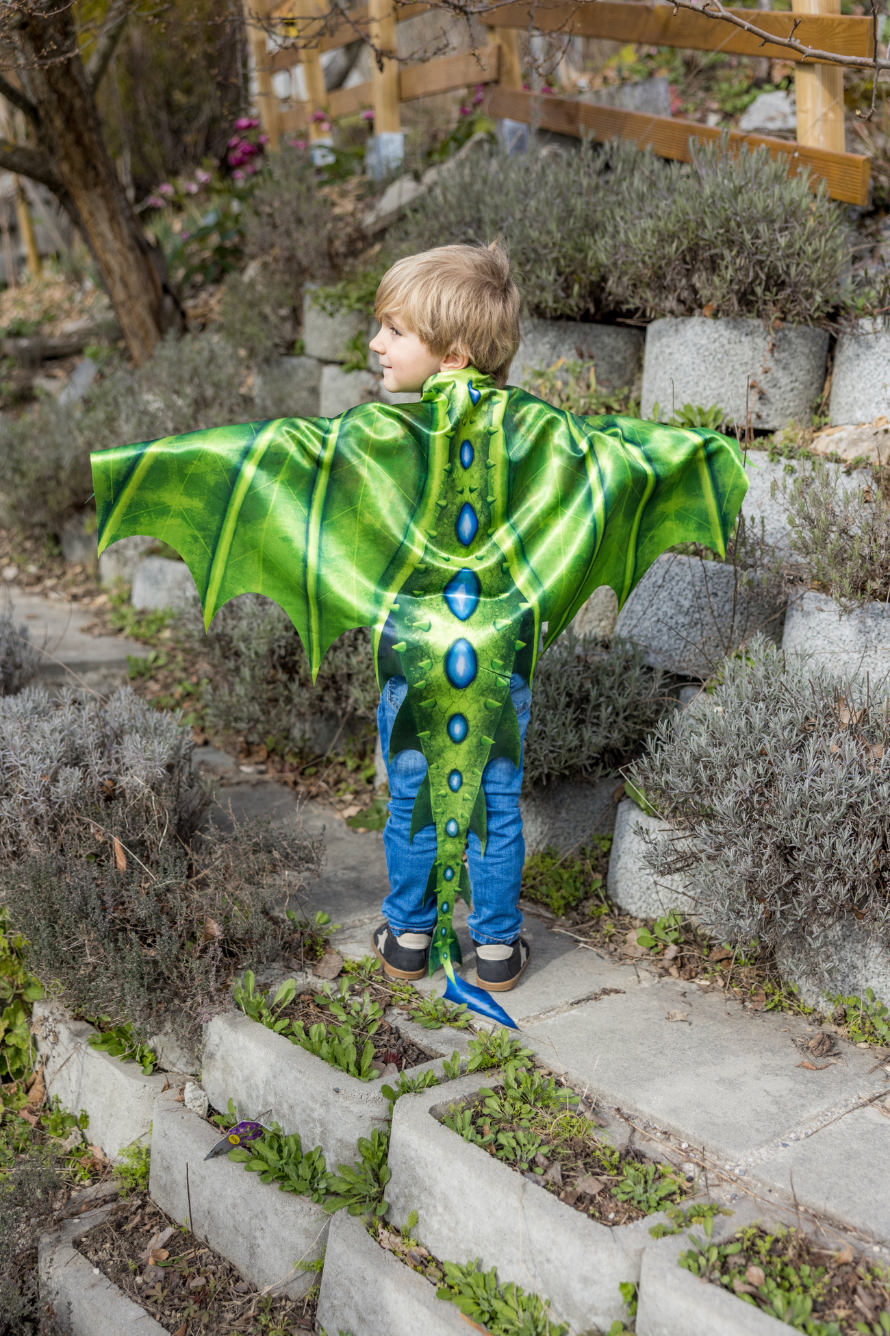 Legendary Dragon Soft Wings & Mask, Size 4-6