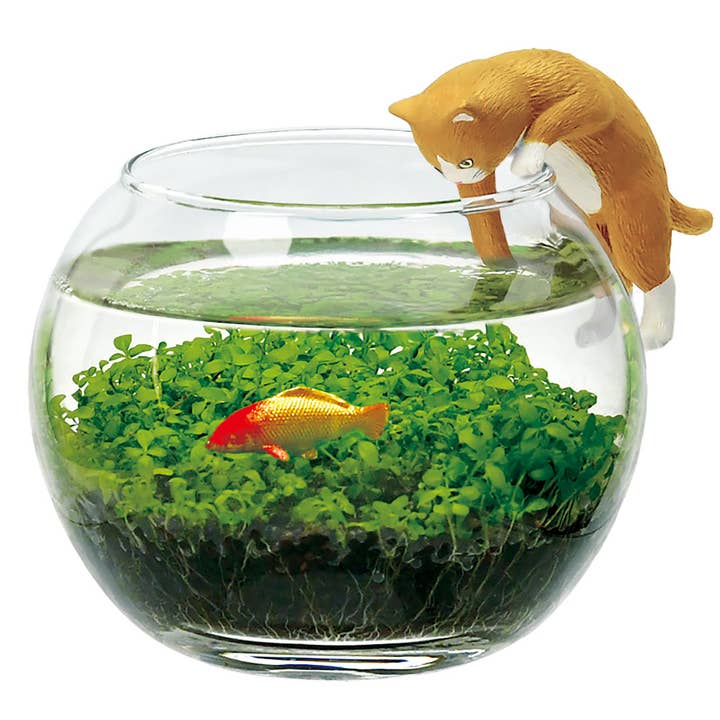 Water Garden With Cat