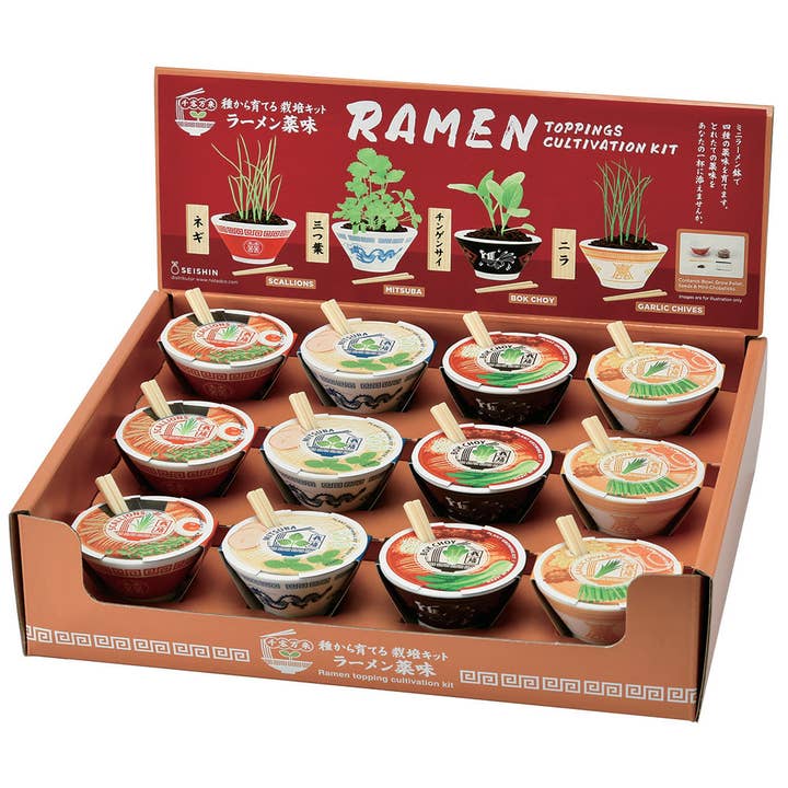 Ramen Garden - Assorted 4 Styles