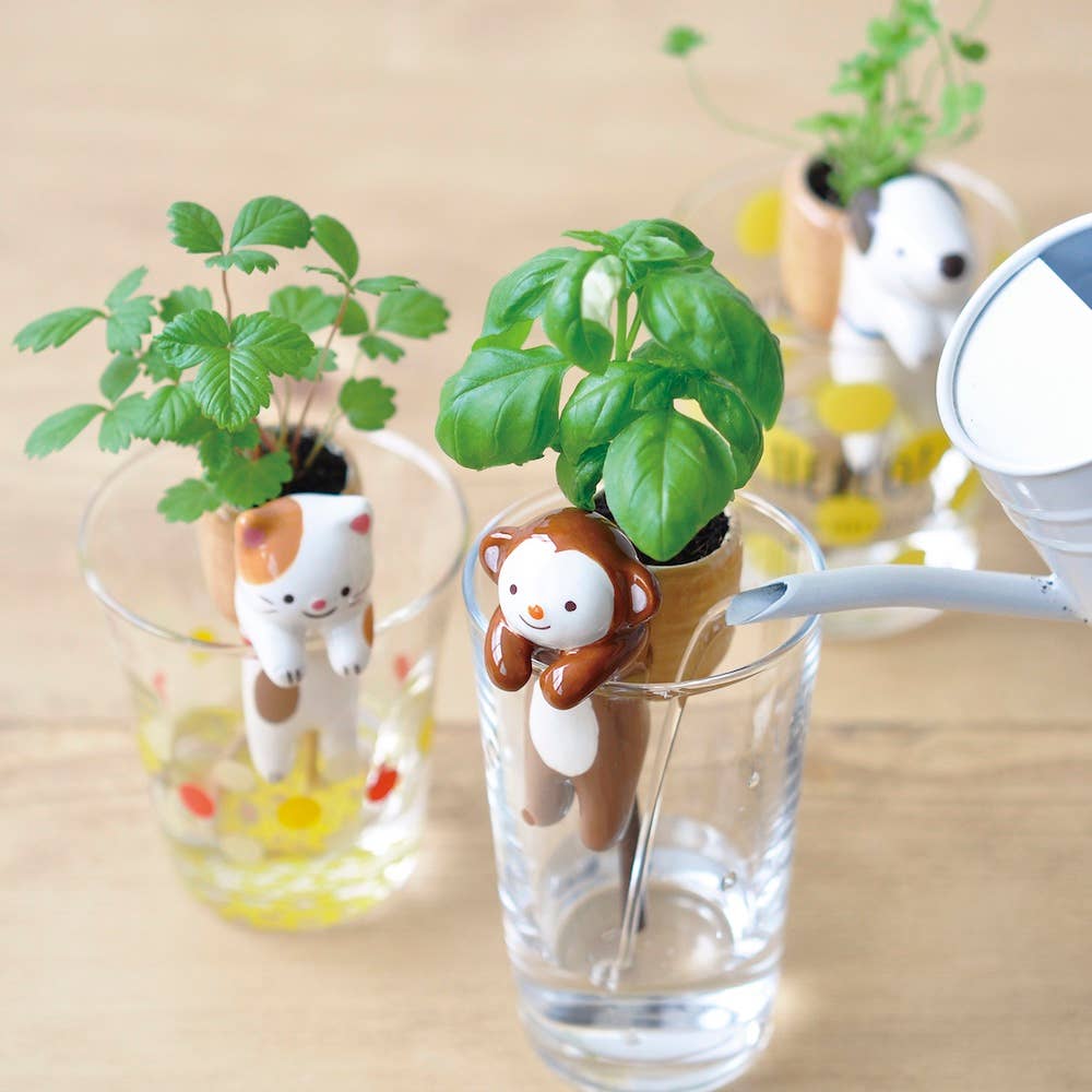 Shippon Grow Kit - Stay Forever