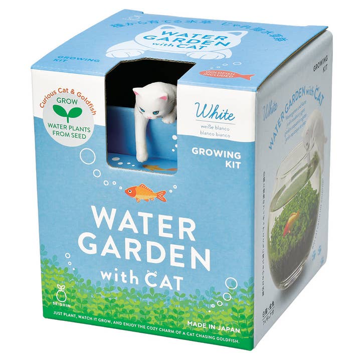 Water Garden With Cat