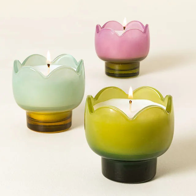 Tulip Glass Candle 5.5oz
