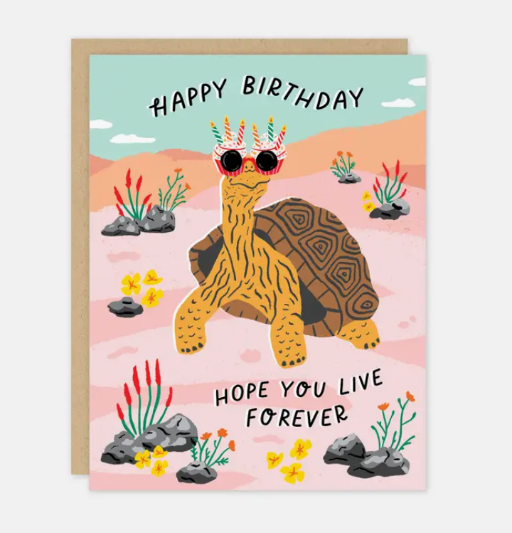 Birthday Tortoise Card