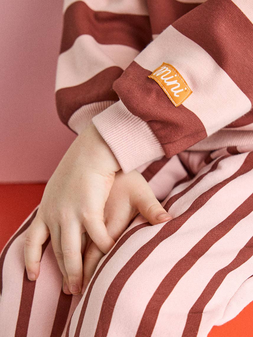 Striped Sweatshirt - Burgundy & Pink