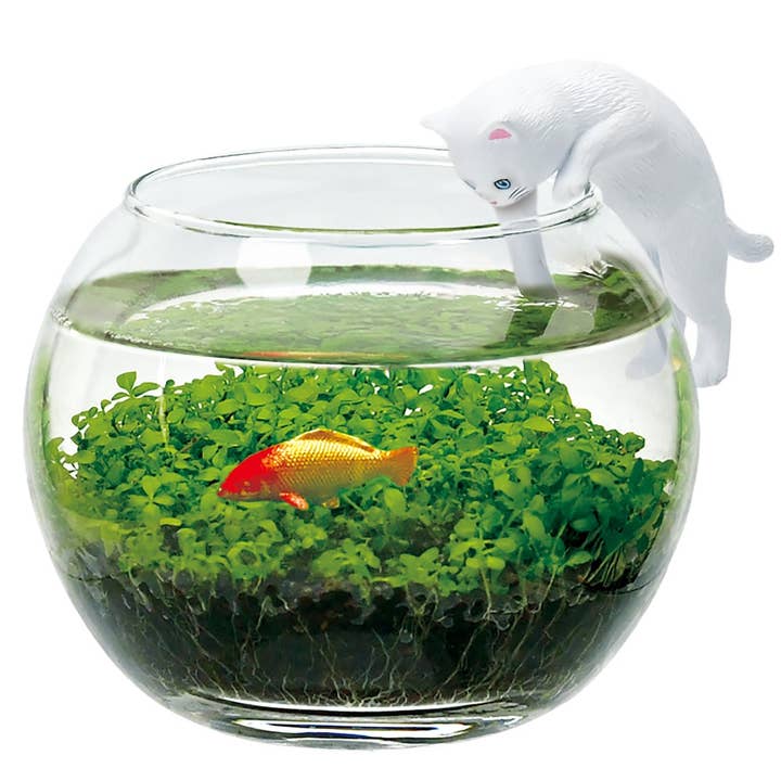 Water Garden With Cat
