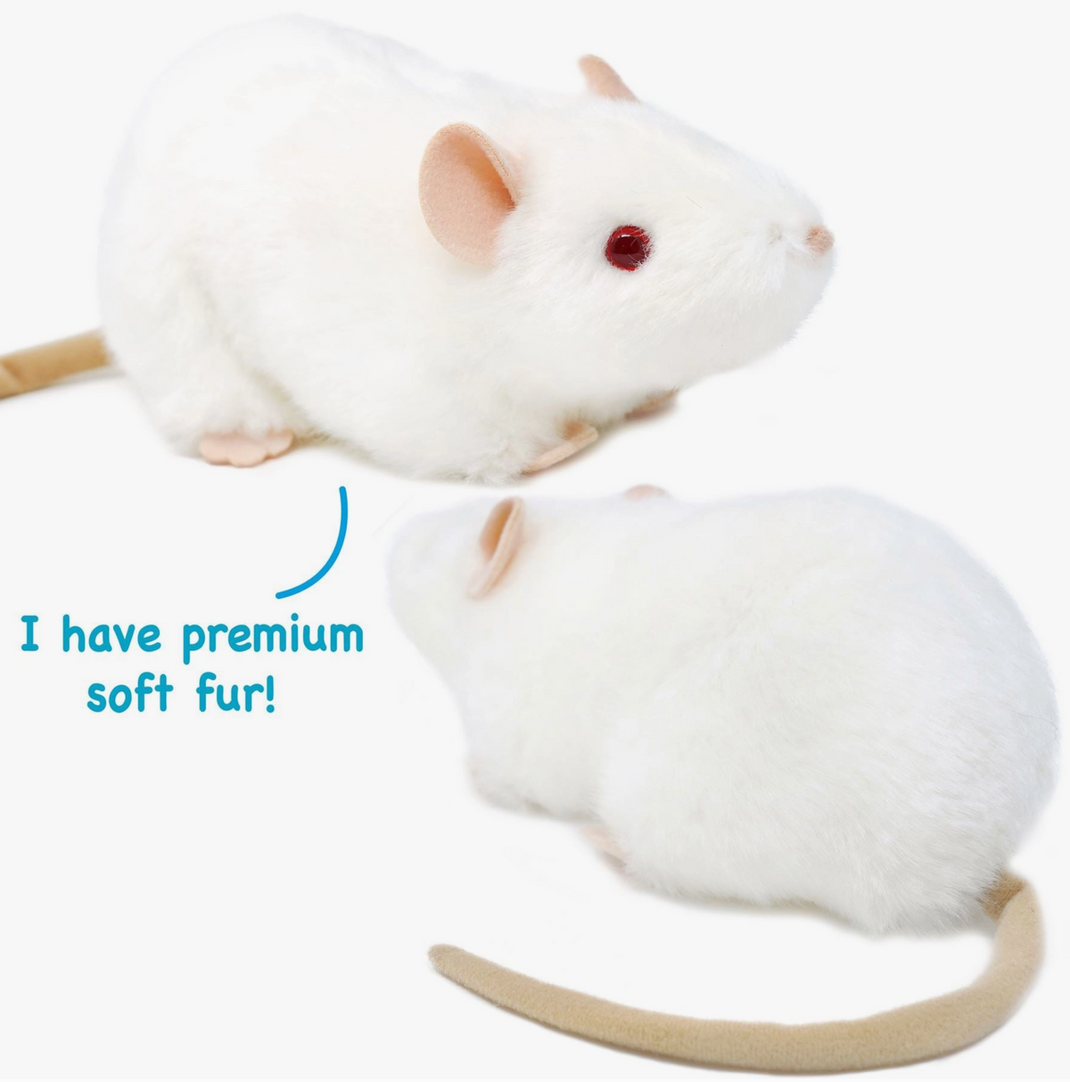 Wylie the White Rat - Stay Forever