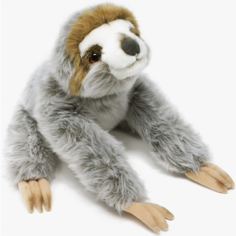 Siggy the Threetoed Sloth Baby
