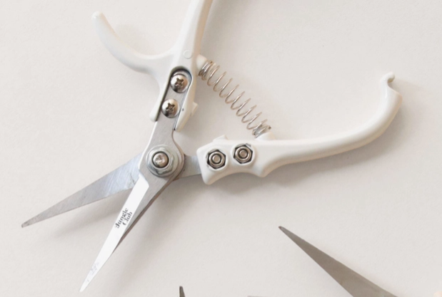 Pruning Shears - Vanilla