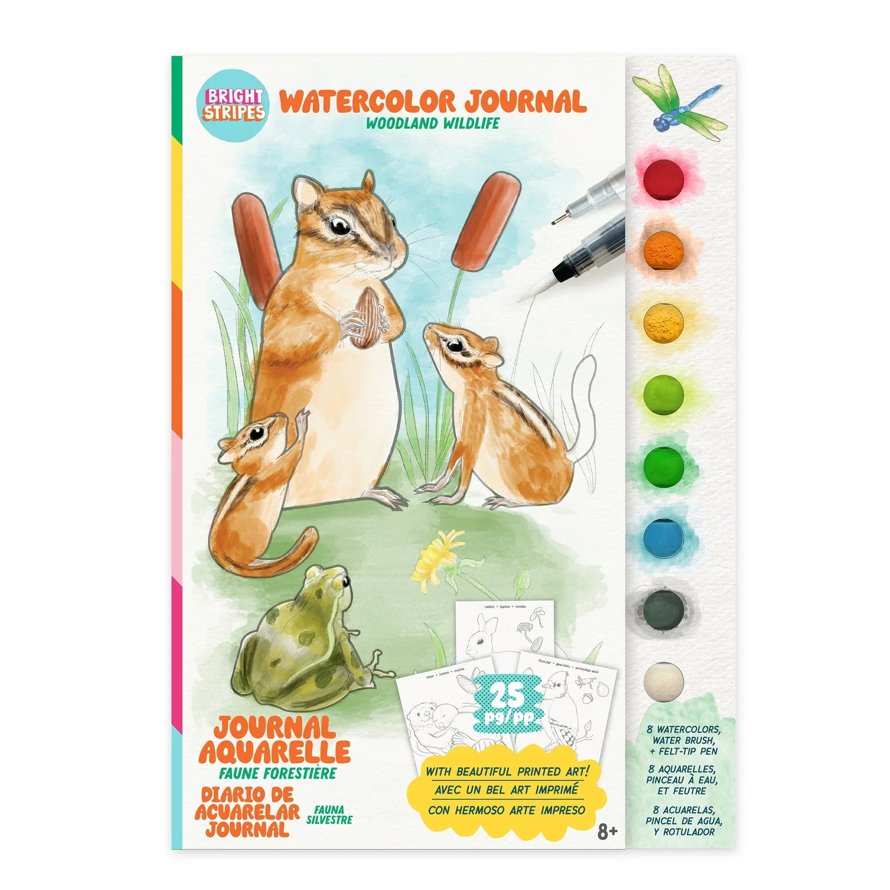 Bright Stripes Watercolor Journal Woodland Wildlife featuring chipmunks and frog with watercolor paints and brush