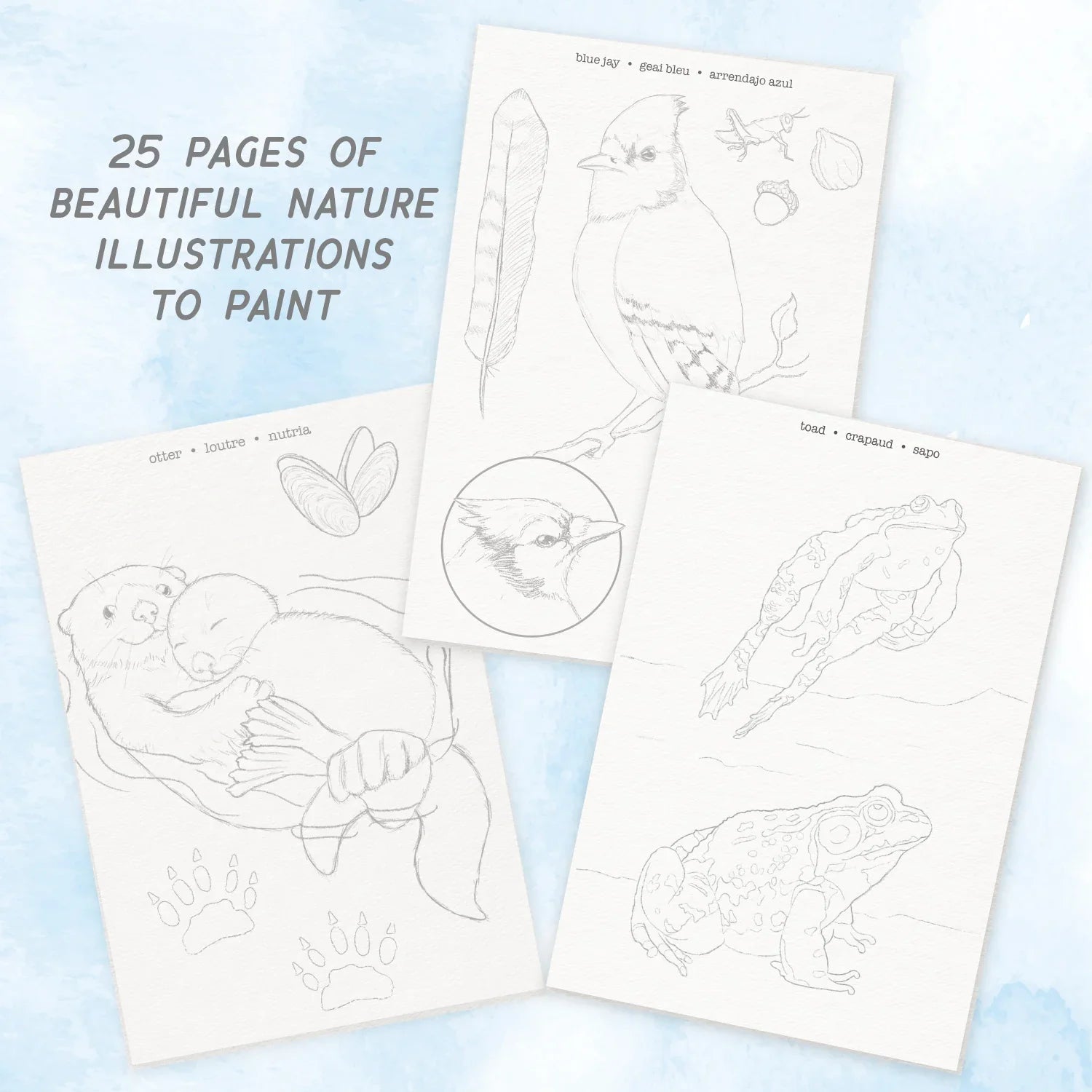 Watercolor journal showing 25 pages of nature illustrations including animals and birds to paint