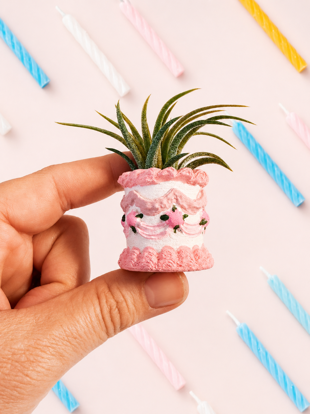 Pink Birthday Cake Mini Planter and Air Plant