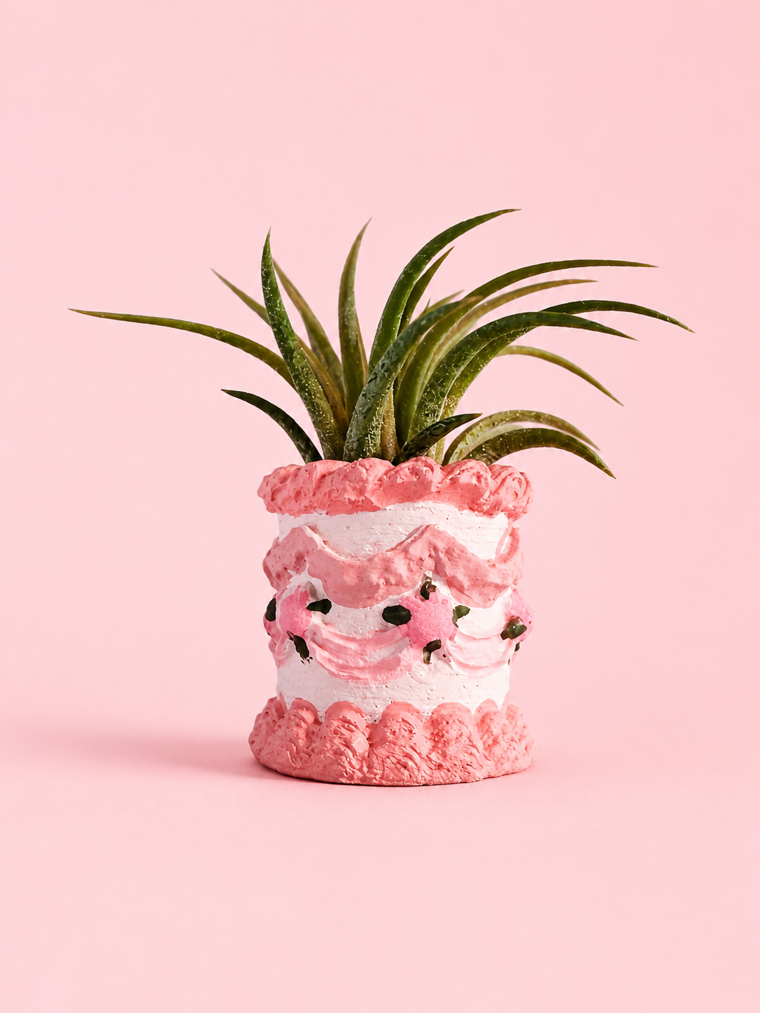 Pink Birthday Cake Mini Planter and Air Plant