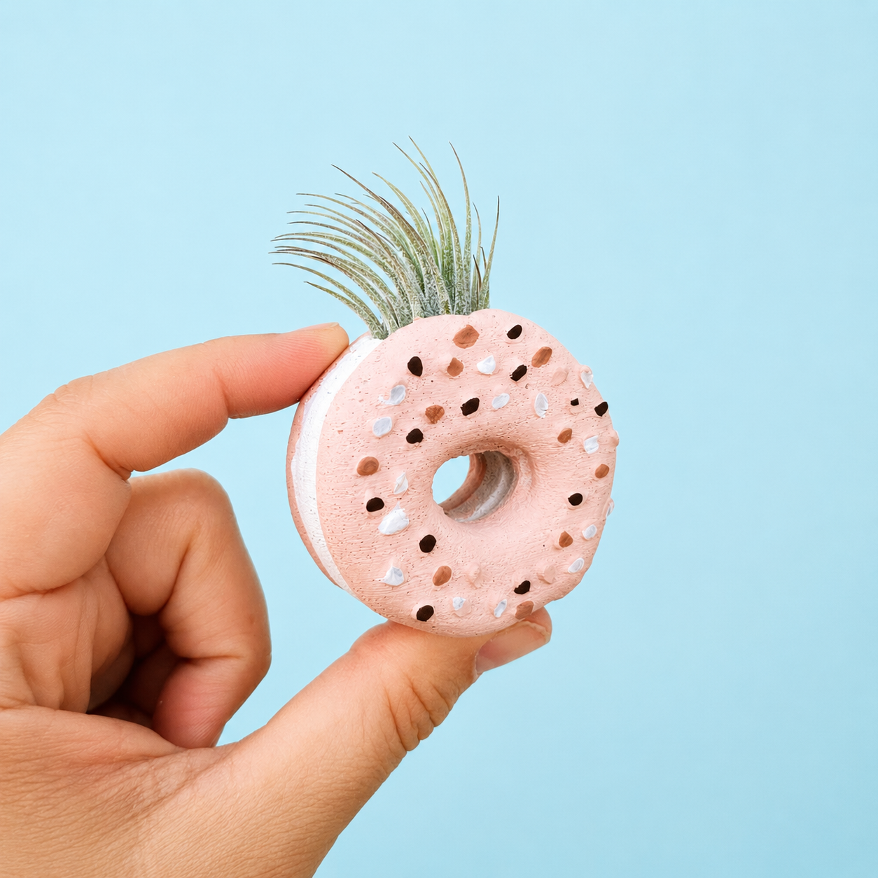 Everything Bagel Mini Planter with Air Plant