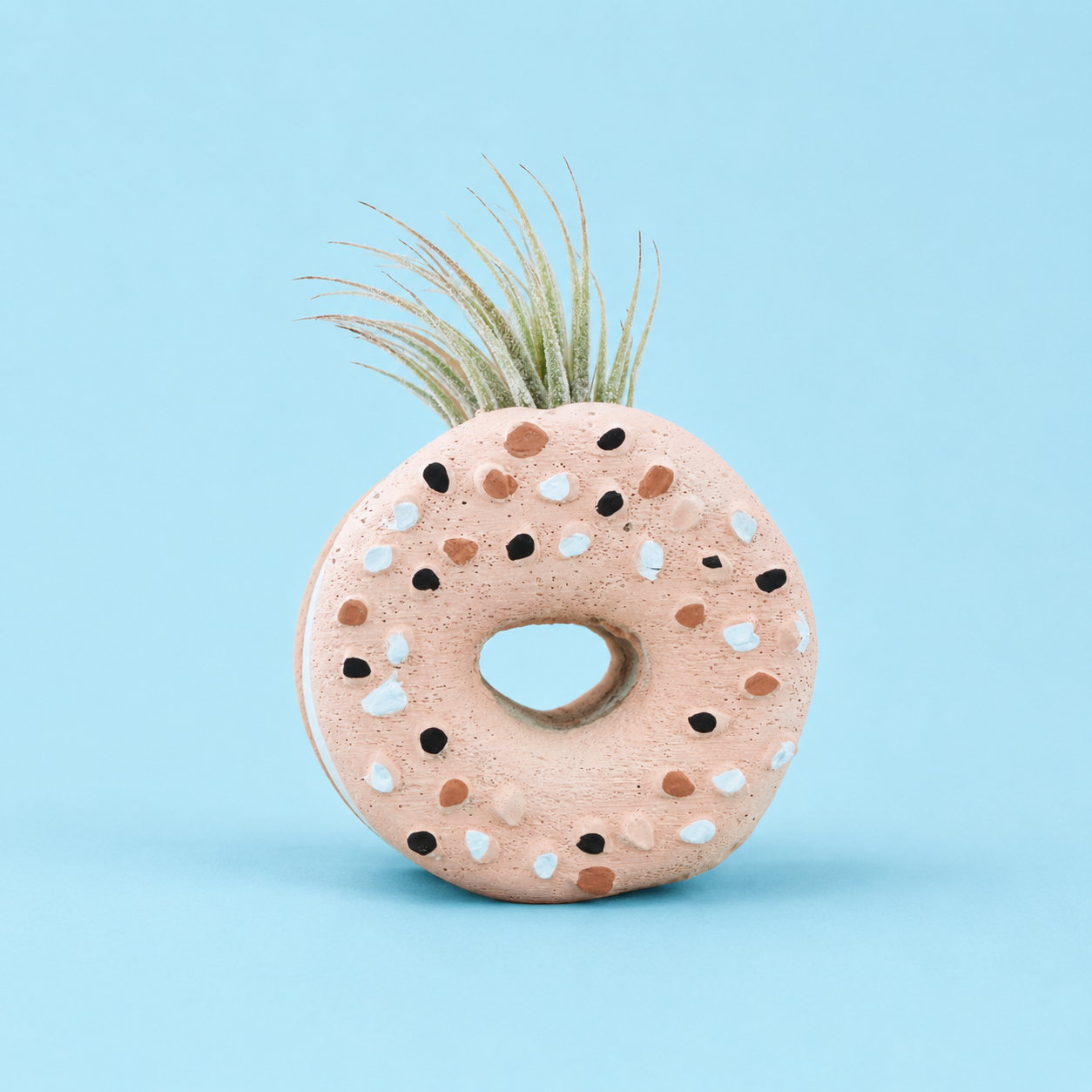 Everything Bagel Mini Planter with Air Plant