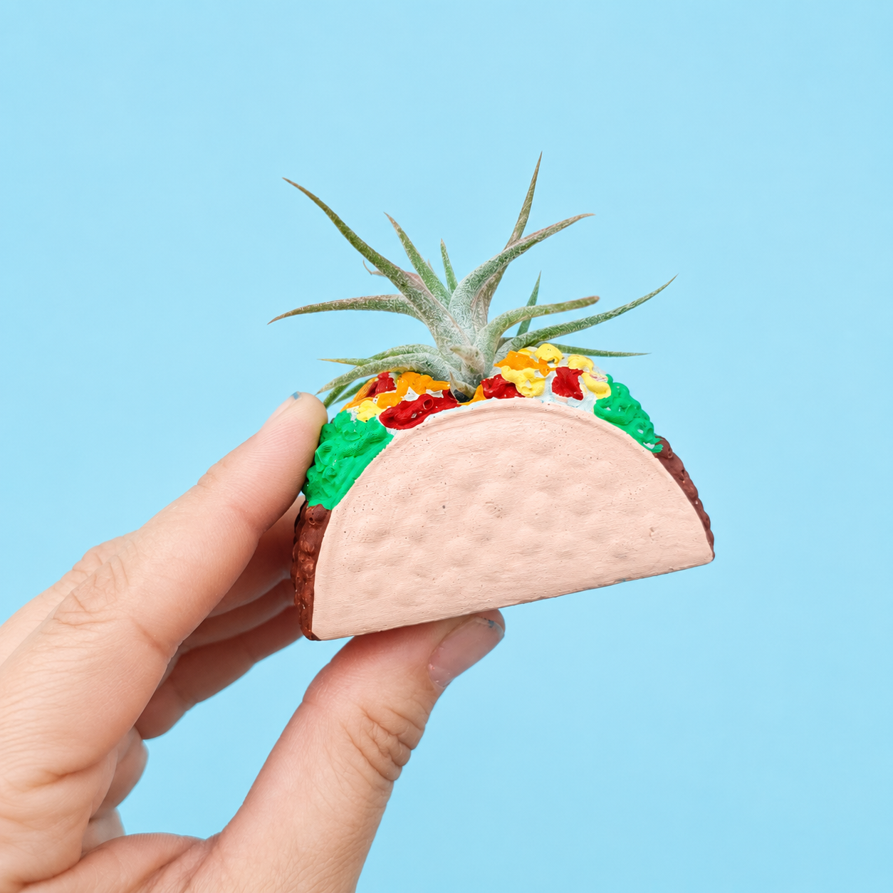 Taco Mini Planter with Air Plant
