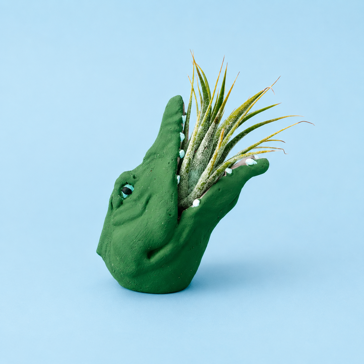 Mini Gator Plant Pot with Air Plant
