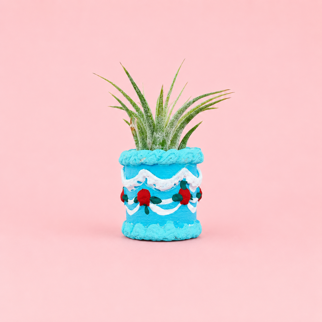 Blue Colorful Cake Mini Planter with Air Plant