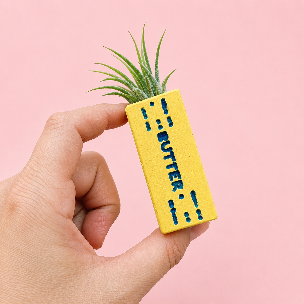 Butter Stick Mini Plant Pot with Plant