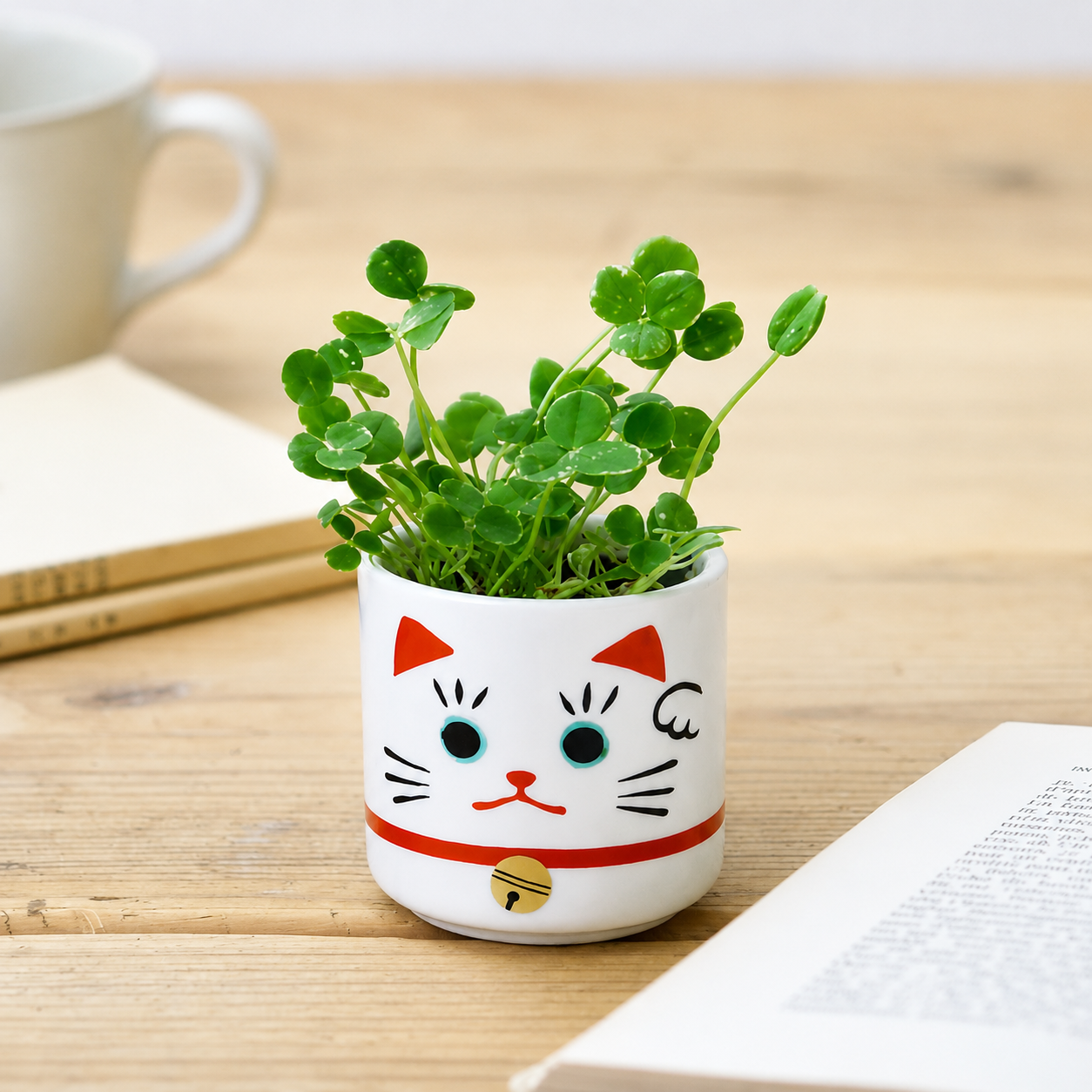 Lucky Plant - Beckoning Cat