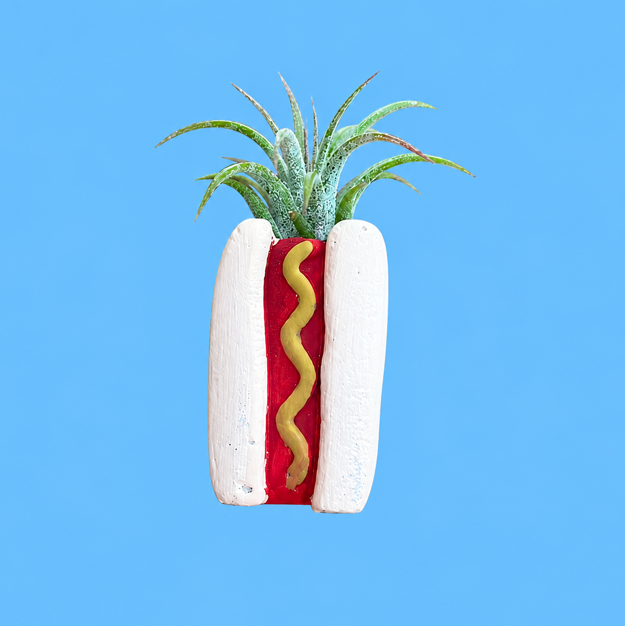 Hotdog Mini Planter and Plant