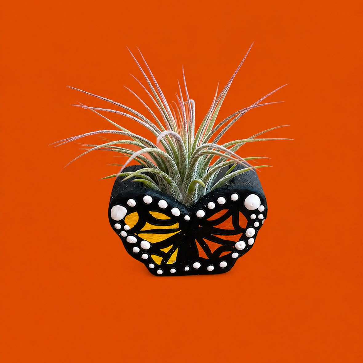 Monarch Butterfly Mini Planter with Air Plant