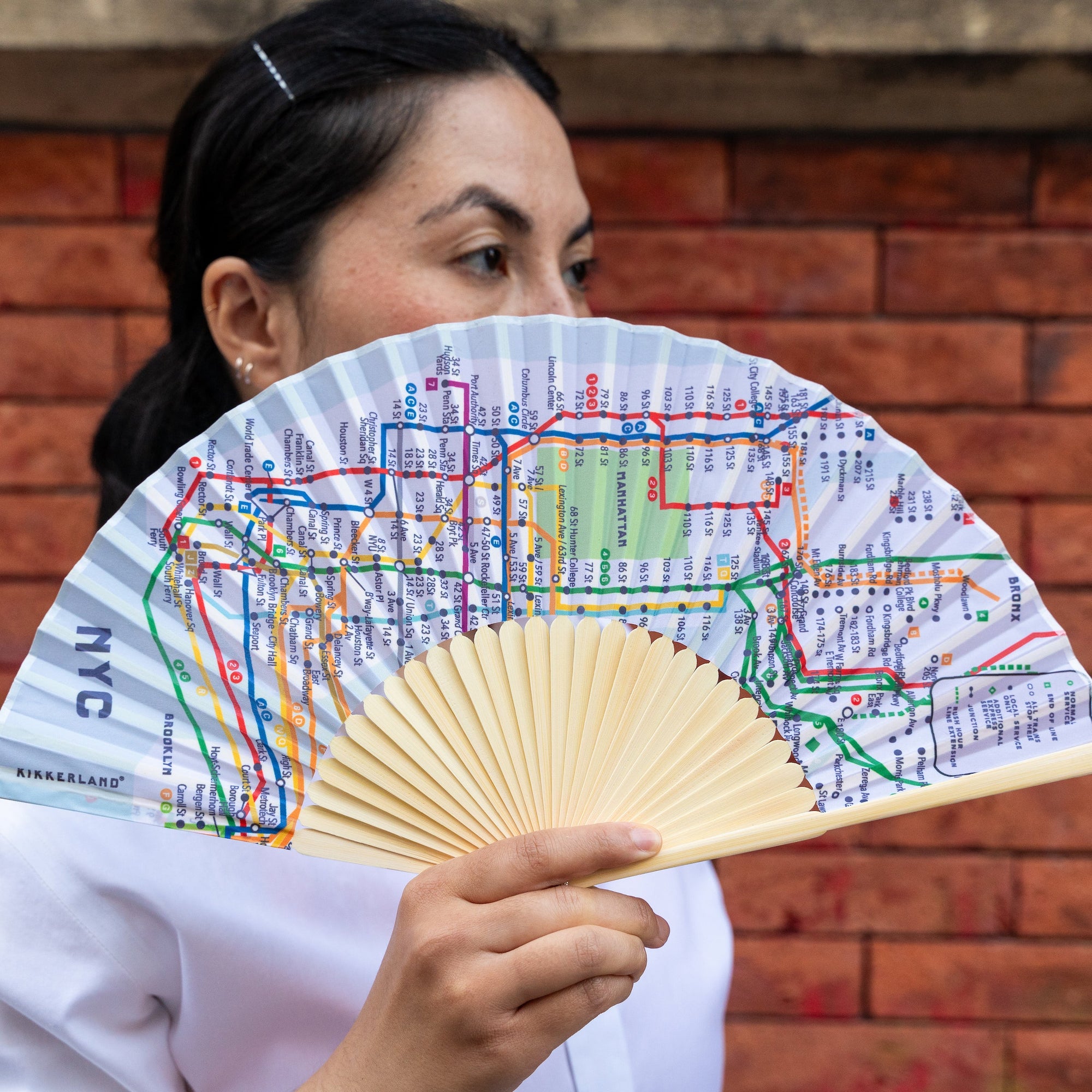 NYC Transit Map Fan