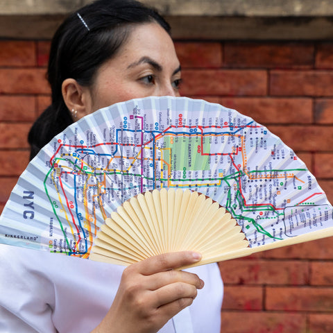 NYC Transit Map Fan