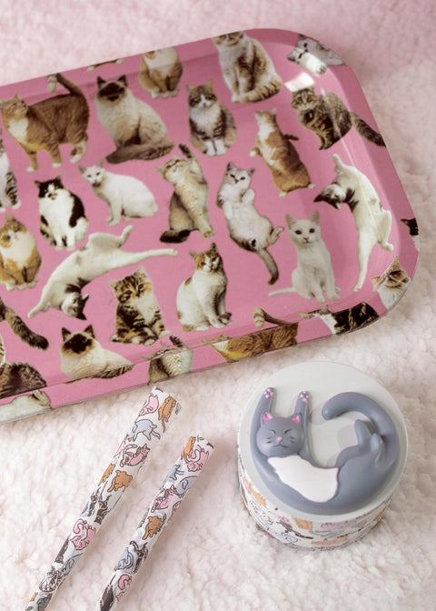 CAT ROLLING TRAY