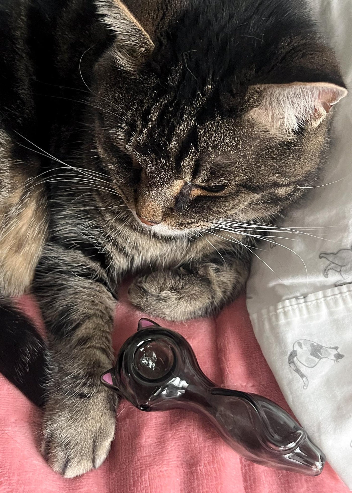 Black Cat Ears Piece