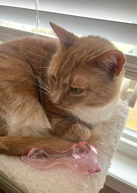 Pink Cat Ears Piece