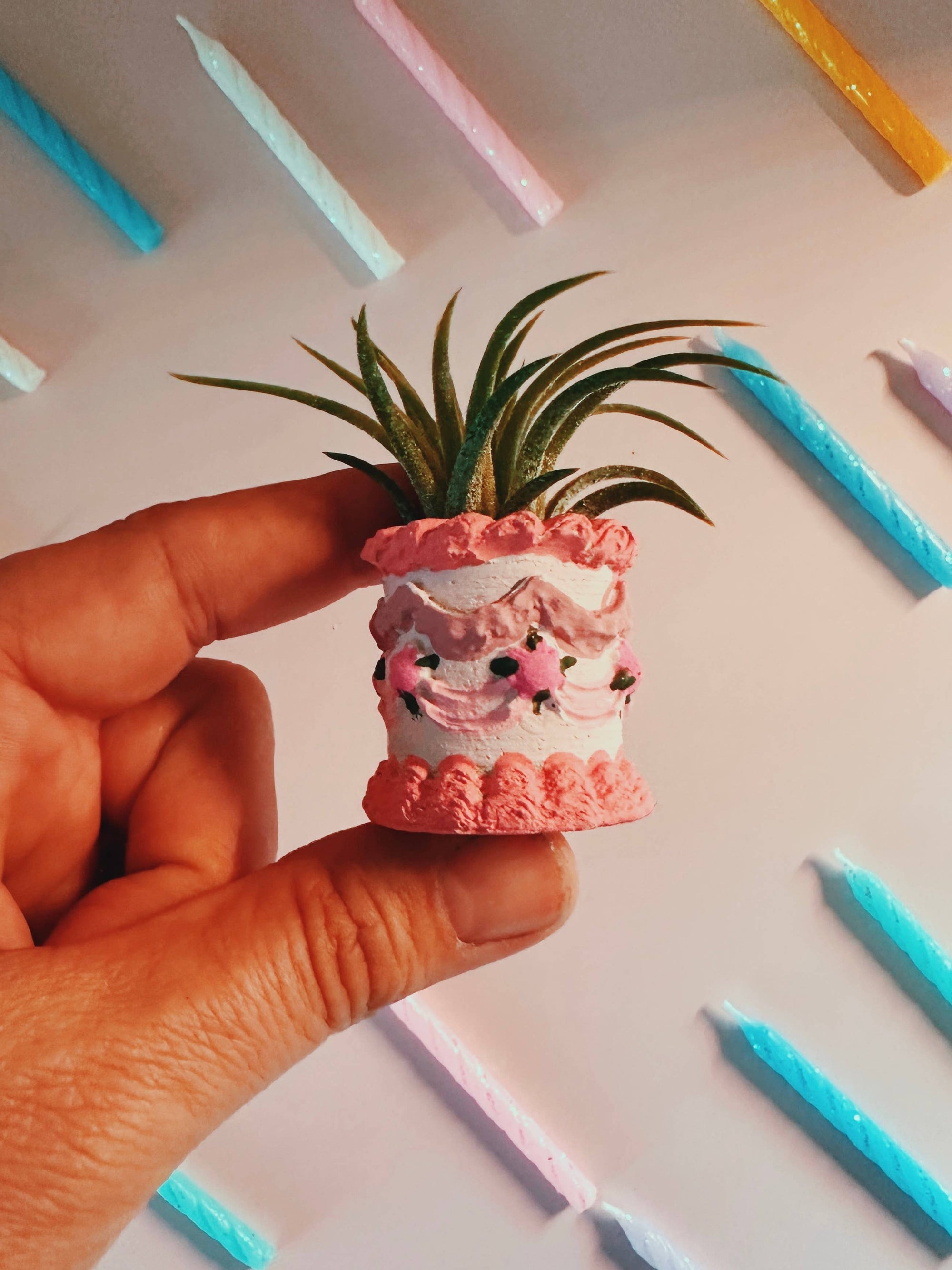 Hand holding pink and white striped birthday cake planter with air plant and face design