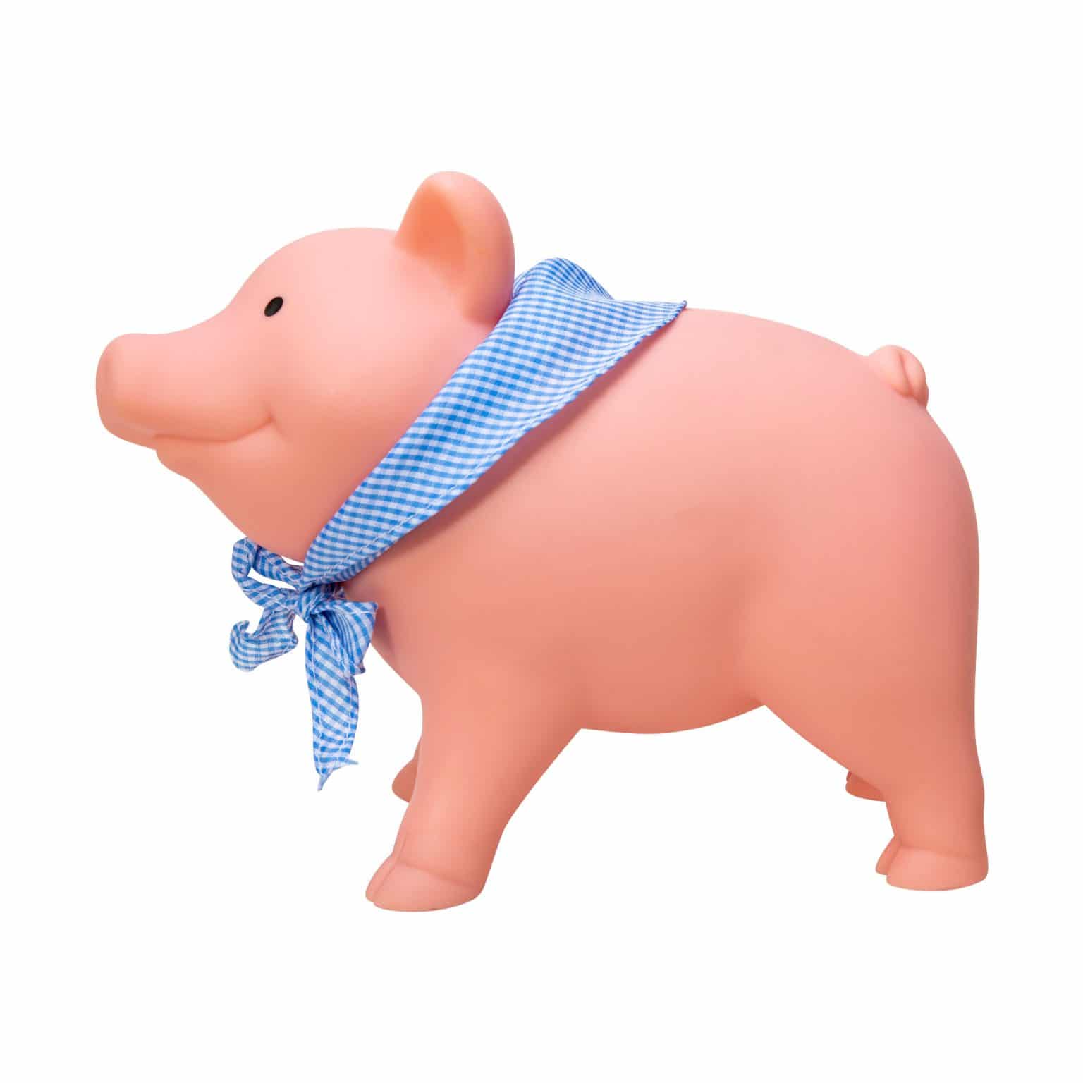 Rubber Piggy Bank