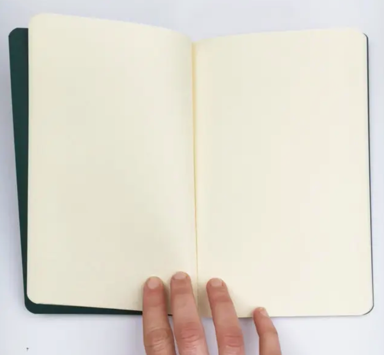 Sneaky Snake Notebook