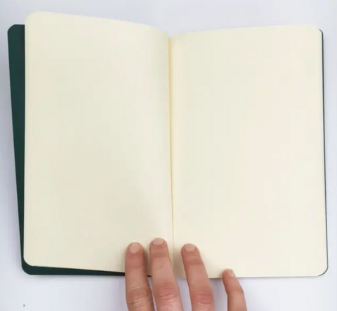 Sneaky Snake Notebook