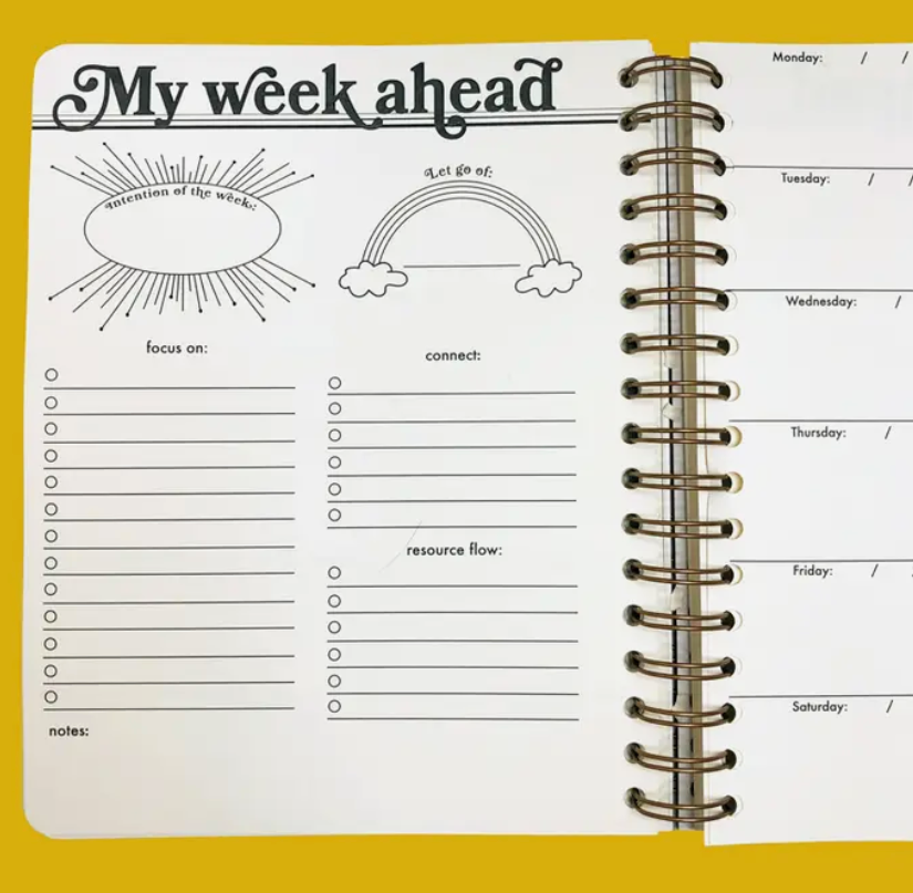 The Rainbow Vision | Seeing Eye Open Dated 12 Month Planner - Stay Forever