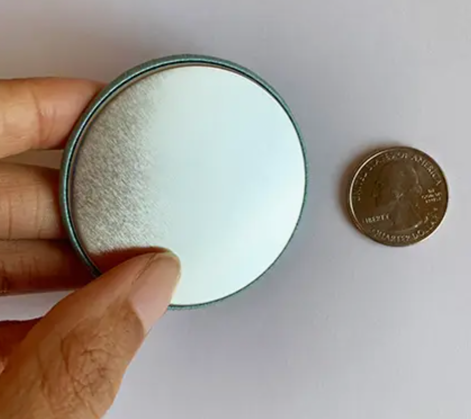 New York City Flying Pigeon Magnet