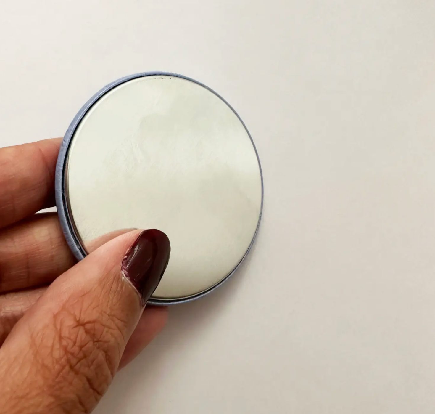 New York City Pigeon Magnet